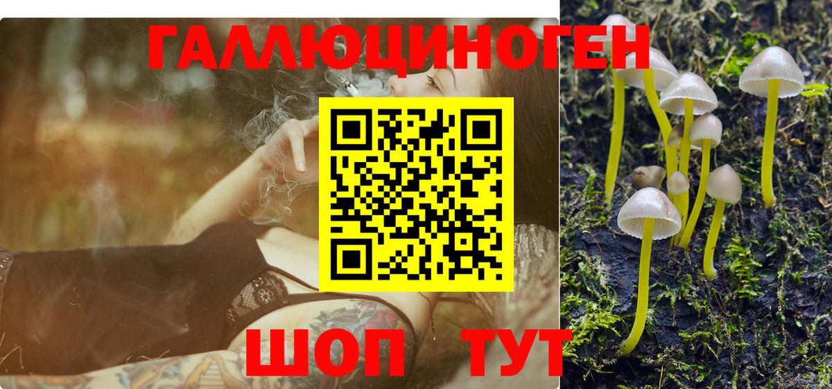 Галлюциногенные грибы MAGIC MUSHROOMS Вятские Поляны